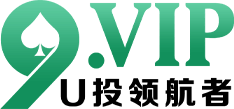 9.VIP U投领航者